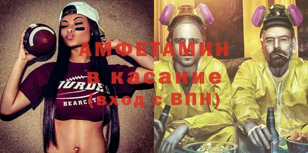 сатива Надым