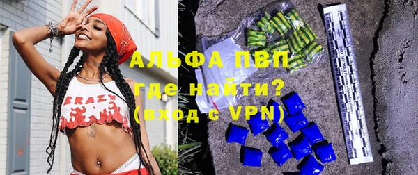 сатива Надым