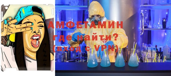 сатива Надым