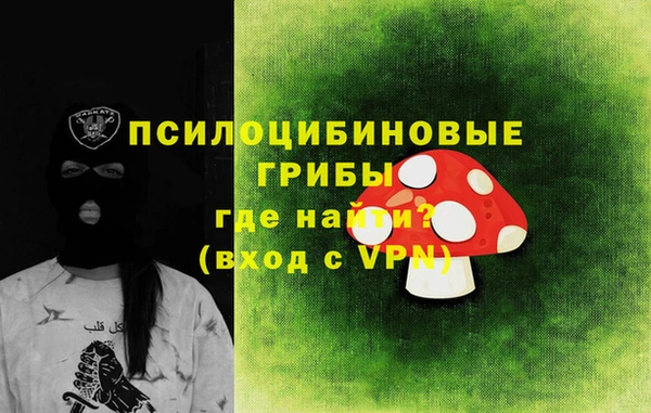 PSILOCYBIN Заводоуковск