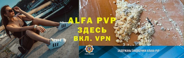 сатива Надым