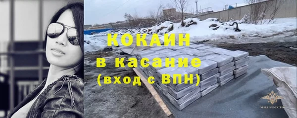 сатива Надым
